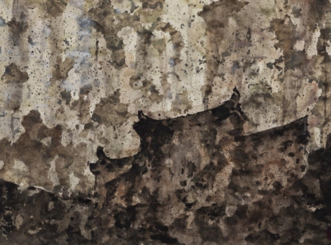 “摄取中国绘图变革的力量”  ——24位名家汇评邢斯恬创作