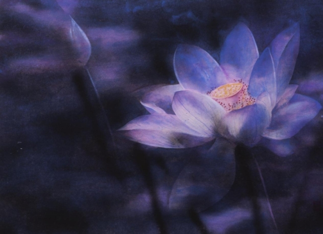 “摄取中国绘图变革的力量”  ——24位名家汇评邢斯恬创作